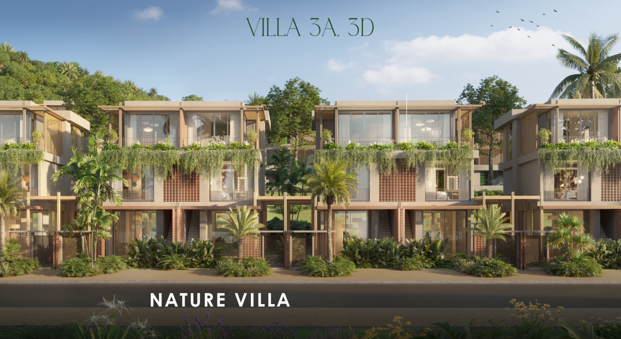 Thiết kế villa 3A, 3D Nature Villa